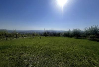 Teren intravilan | 700 mp | ZONA Cetate | Alba Iulia | CONSTRUIBIL - 5