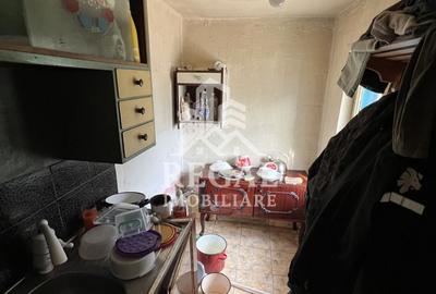 Casă de vânzare în Călanul Mic –  2 clădiri, curte, grădină, garaj - 8