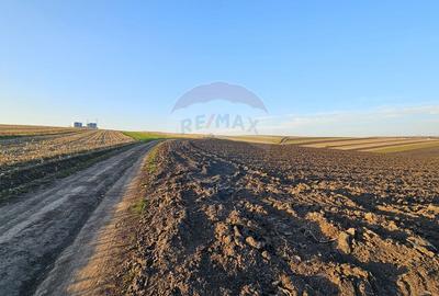 Teren extravilan 30077mp Stroiesti / Soseaua DN17, Suceava - 7