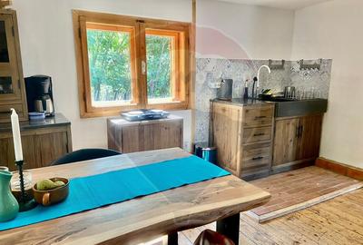 Casă de vacanță deosebită cu ciubăr si saună - natura si relaxare - 48