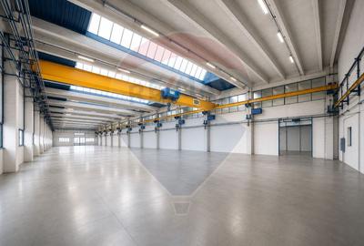 Hala Industriala cu Pod Rulant | Platforma IAR Brasov | Acces Logistic - 3