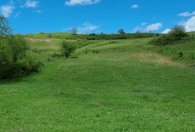 Teren Construcții extravilan de 2200 mp, în Sânpaul