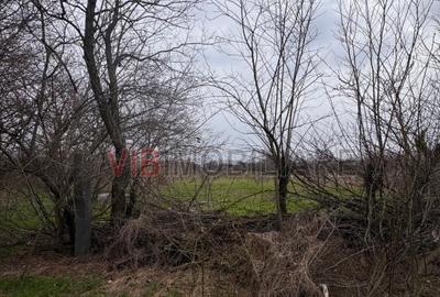 Jilava - Centura Bucuresti - teren intravilan 423 mp - 4
