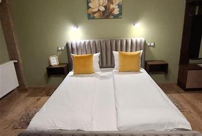 Hotel 4 studiouri 4 camere duble parcare zona Centrala - 18
