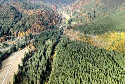 Poiana lui Manole - teren Intravilan - 29