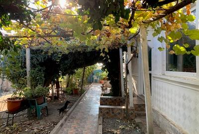 Potențial pensiune / investiție / casa de vacanță - 2