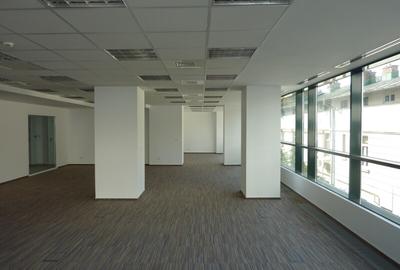 Nou si vechi in inima orasului-  spatii de birouri in cladire Clasa A - 3