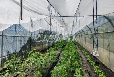 Casa situata in Samarinesti, sat Valea Bisericii - 12