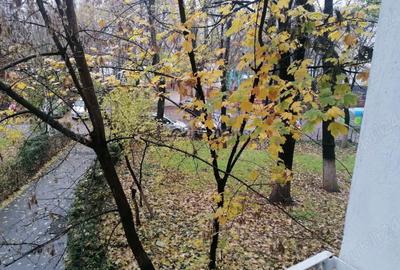 Vânzare apartament 4 camere Nicolae Grigorescu IOR - 6