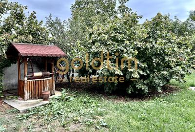VILA 5 CAMERE CU PISCINA/TEREN 2650MP/CASA PERSONAL/GARAJ/SNAGOV-CIOFLICENI/ - 17