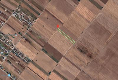 Teren Extravilan In Rate Primaverii Com. Berceni | 5901mp | #EG40 - 1