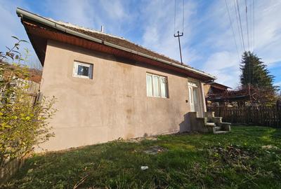 Casa de vanzare in Valea Doftanei - 1