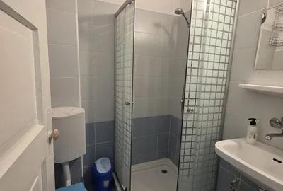 Apartament 1 Camera De Inchiriat | Central | Etaj Interemediar | Decomandat - 6