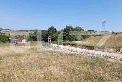 Teren 1420 mp in Dealul Daii, zona Daia Noua - 1