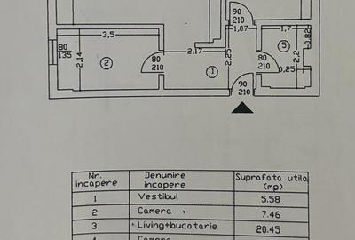 Apartament 2 camere,  mobilat, utilat, etaj 1 , Scandinavia, Rond Cristalului - 18