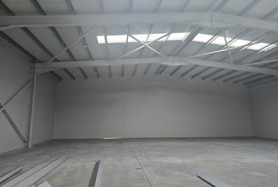 Inchiriere hala/birouri, TBM Industrial Park 600 MPU si teren 1016mp - 3