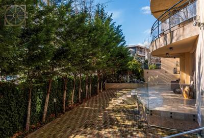 Spatiu Premium - Gradina 270 mp - - 11