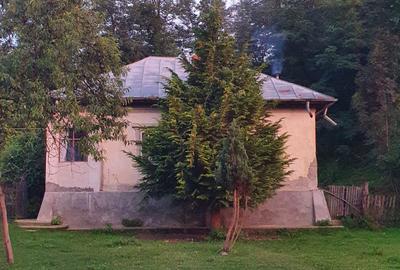 Puciosa Moreni Valea Lunga Sat Izvoru 20000mp teren de vanzare - 16