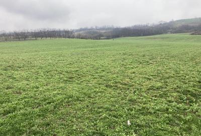 Miroslava! Teren agricol 6435, la 2 min de Primarie! - 1