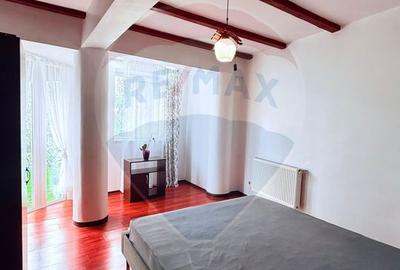 De închiriat duplex cu 4 camere - Șoșeaua Bârnova - 18