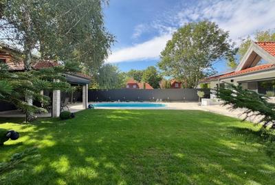 Vila de lux, stil contemporan -  IANCU NICOLAE - 8