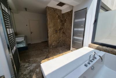 Inchiriere vila moderna Iancu Nicolae - 47