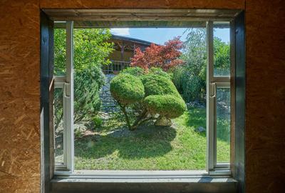 Reprezentare exclusivă · Casa dintre magnolii, Făget · 1.343 mp lângă pădure - 32