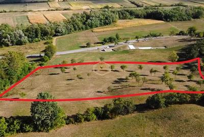 VIDEO | Super view | Teren 8.500 m² in Maramures | Viitorul tau colt de liniste - 11