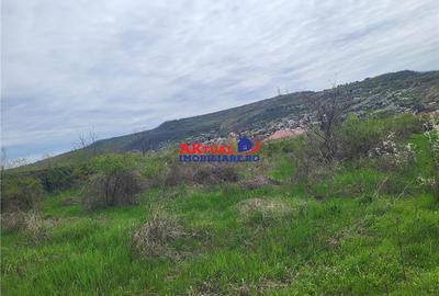 Vanzare teren 35.000mp Stefanesti -Arges-Comision 0% - 4