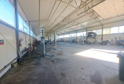 Techirghiol - service auto - afacere la cheie - 8