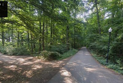 Teren de Vis pe malul lacului Snagov / 4000 mp in inima Naturii /40 m deschidere - 9