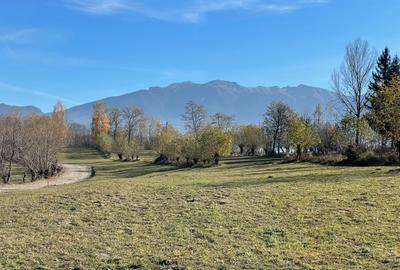 Teren intravilan intre 500 si 1000 mp   in zona Bran - 3