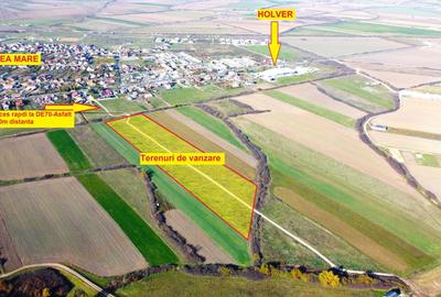 Terenuri Remetea Mare, cu toate utilitatile garantate - 69euro/mp+TVA - 1