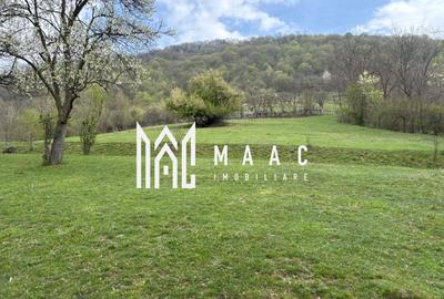 Teren de vânzare, 7750 mp I Orientare sudică I Caineni - 6