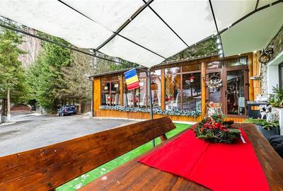 FILM!Descopera oportunitatea! Imobiliar&Transfer Business in inima statiunii Poi - 13