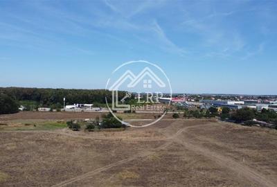 Teren Voluntari-Pipera | 3.700mp | Zonă Pădure & Școli Internaționale - 2