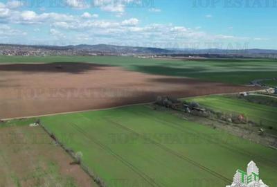 Vanzare Teren intravilan 24611 mp, Ideal retail, logistica, birouri - 7