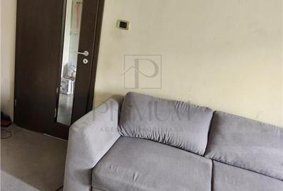 ARADULUI - 2 CAMERE - TAVAN IZOLAT - RENOVAT - CLIMA - SPATIOS - 3