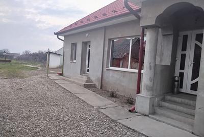 Spațiu comercial versatil, curte proprie și parcare, Biharia - 10