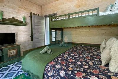 Casa de vacanta superba in Crivaia - 15