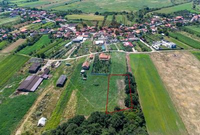 Teren Construcții intravilan de 2469 mp, în Bălata