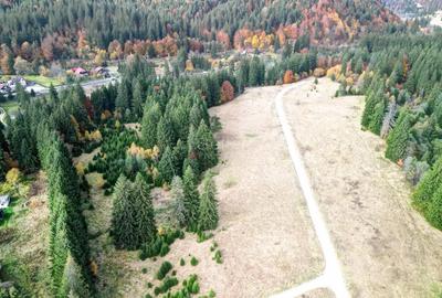 Poiana lui Manole - teren Intravilan - 6