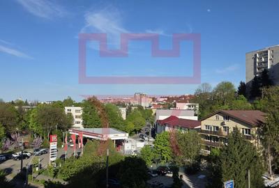 Inchiriere  apartament renovat 2 camere parcare Plopilor parcul Babes - 4