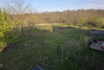 Vila moderna 2025 Snagov Ciofliceni langa padure  200 mp utili si 500 mp teren - 10