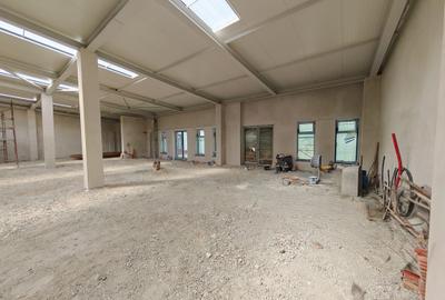 Proprietate deosebita open space 560 mp ICIL - 9
