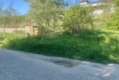 Teren 1000-2000mp intravilan in Gradina Botanica Iasi, 200€/mp, utilitati - 6