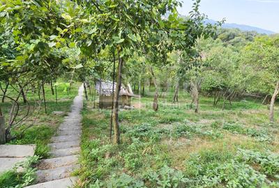 Teren intravilan 1600mp | Front 26m | Grigorescu | Zona strazii Donath - 4