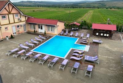 Vand Hotel cu restaurant  si piscina - 10