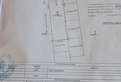 Teren intravilan 4657 mp, deschidere 30 ml, Ostratu, strada Lotusului - 13