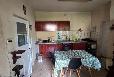 Aproape de Marginimea Sibiului, casa in inima unui parc - 7
